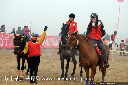 草原風(fēng)馬匹參加北京永定河冬季馬術(shù)耐力賽