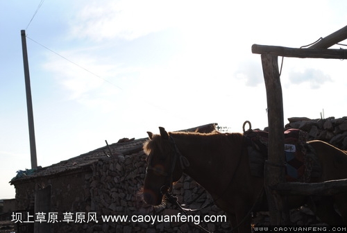現(xiàn)代車友會 壩上旅游第一天