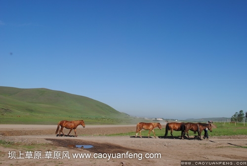 現(xiàn)代車友會(huì) 壩上旅游第二天