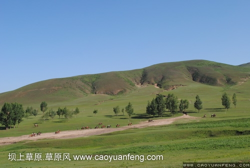 現(xiàn)代車友會(huì) 壩上旅游第二天