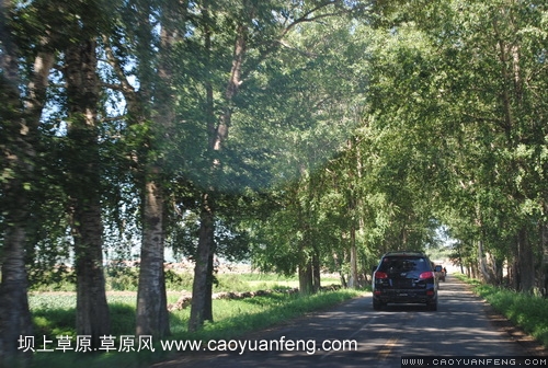 現(xiàn)代車友會(huì) 壩上旅游第三天
