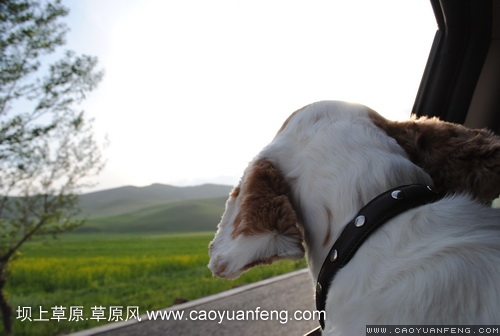現(xiàn)代車友會(huì) 壩上旅游第二天