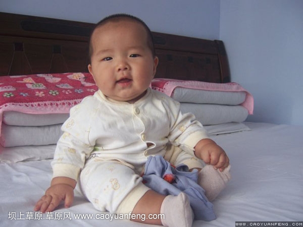 壩上草原之旅