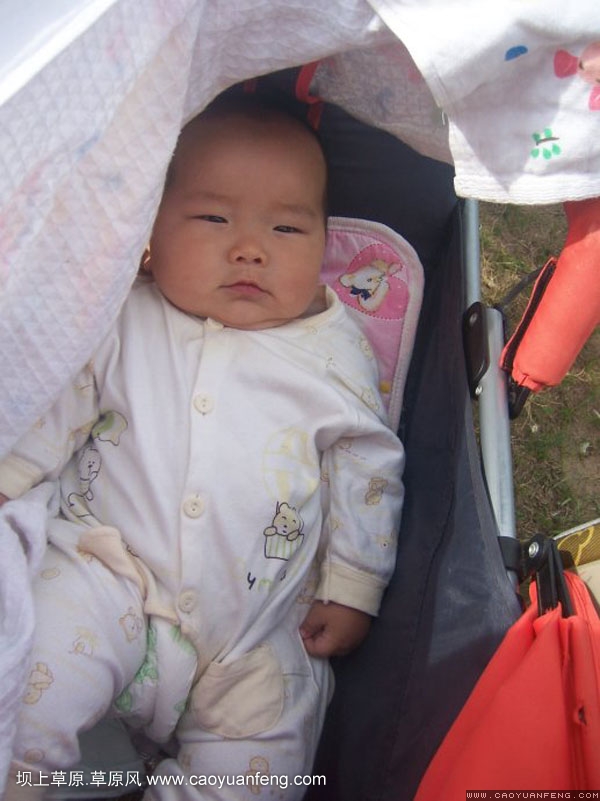壩上草原之旅