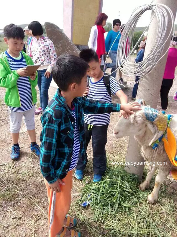 豐寧壩上草原夏令營