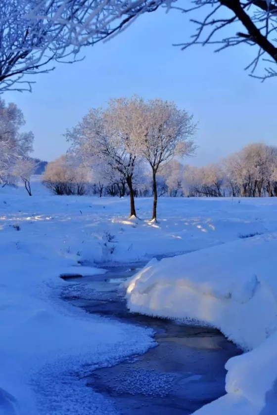 壩上冬天美景