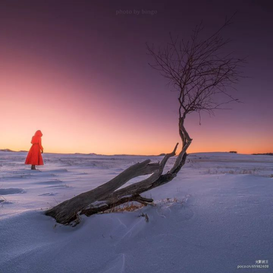 壩上雪域星空冬日攝影