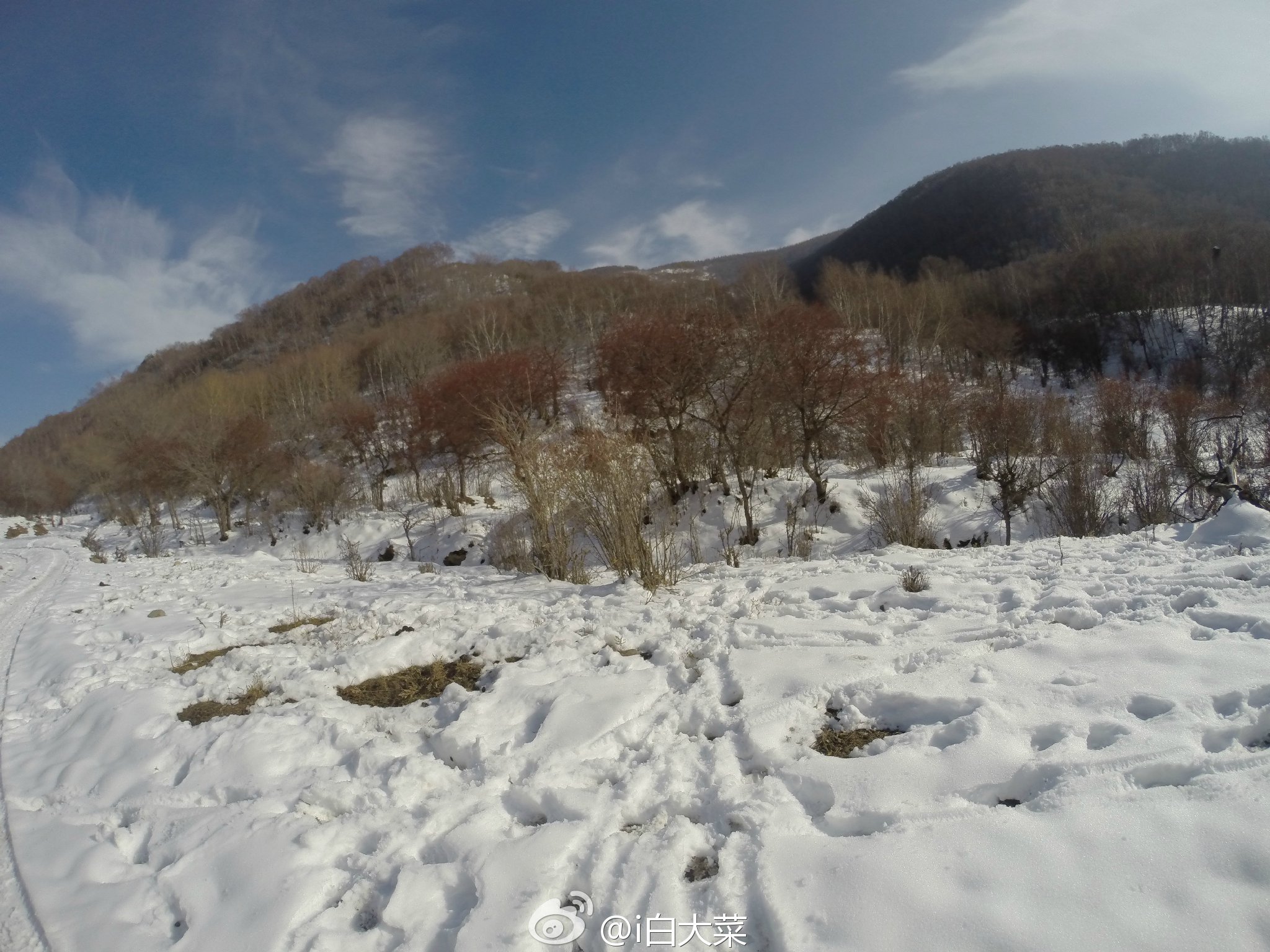 冬日老掌溝玩雪越野之旅 精華攻略