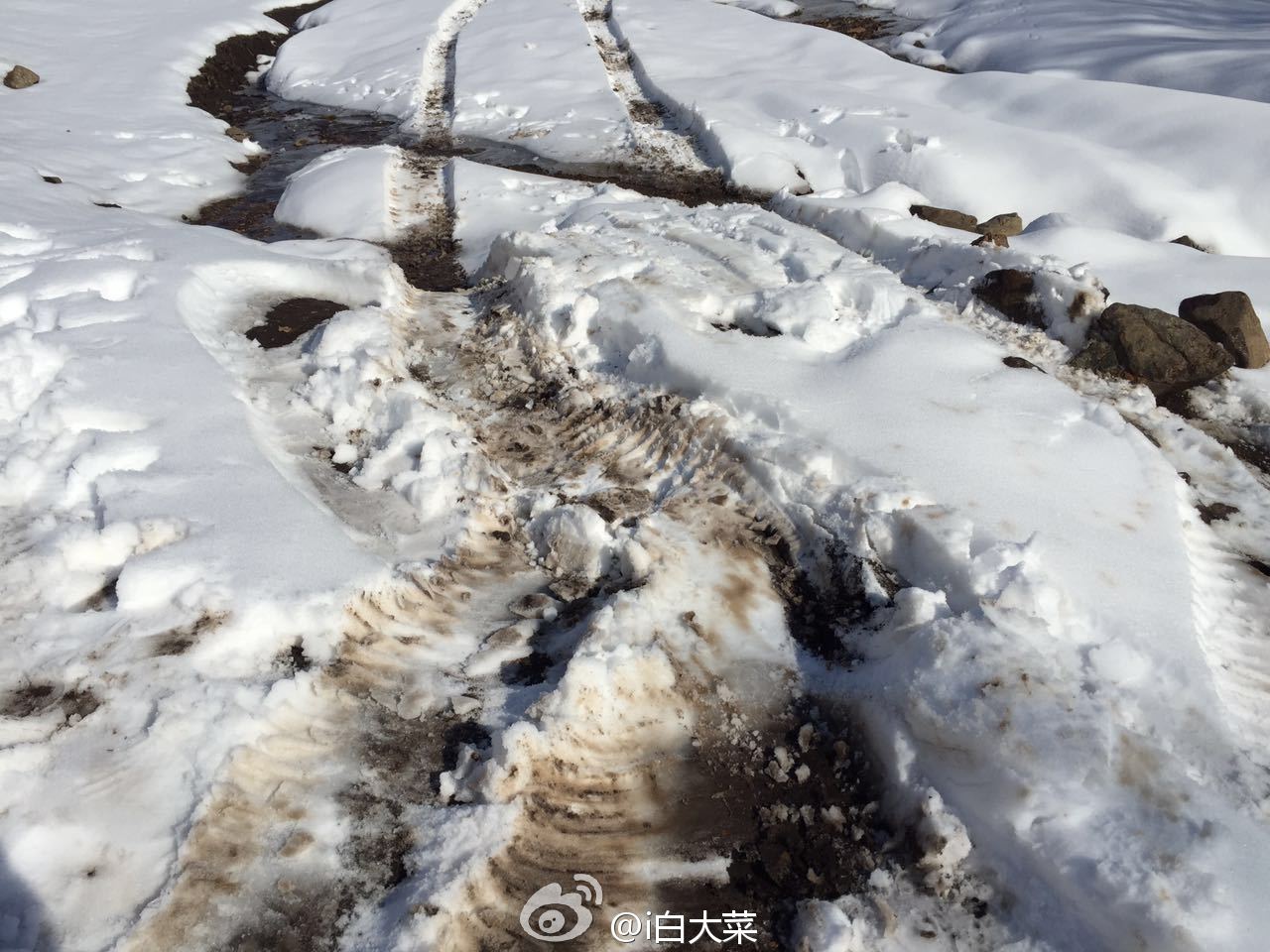 冬日老掌溝玩雪越野之旅 精華攻略