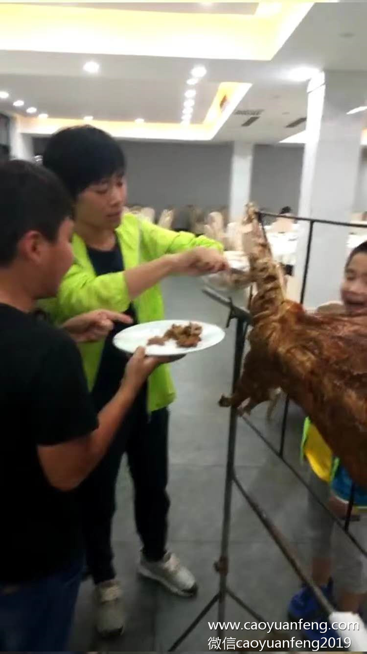 固安90印象創(chuàng)意美術草原夏令營