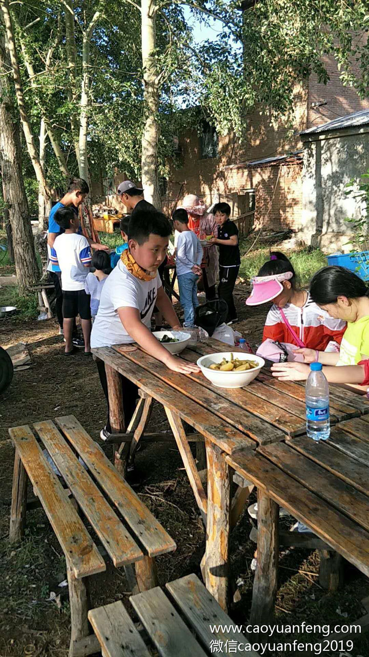 固安90印象創(chuàng)意美術草原夏令營