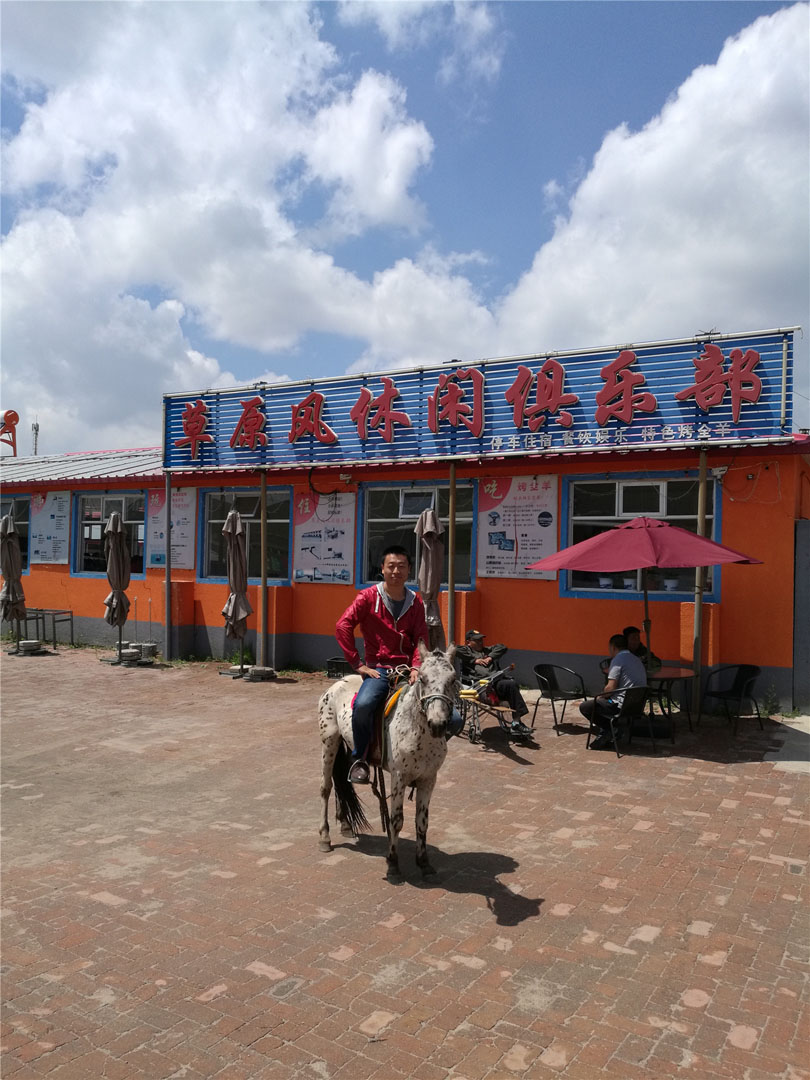 壩上小矮馬