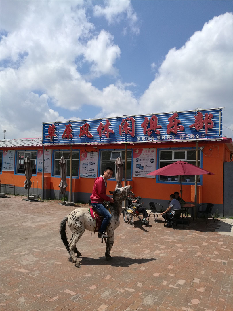 壩上小矮馬