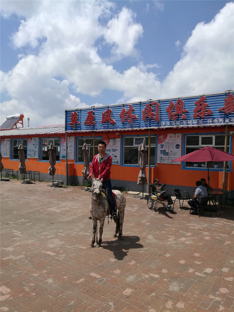 壩上小矮馬