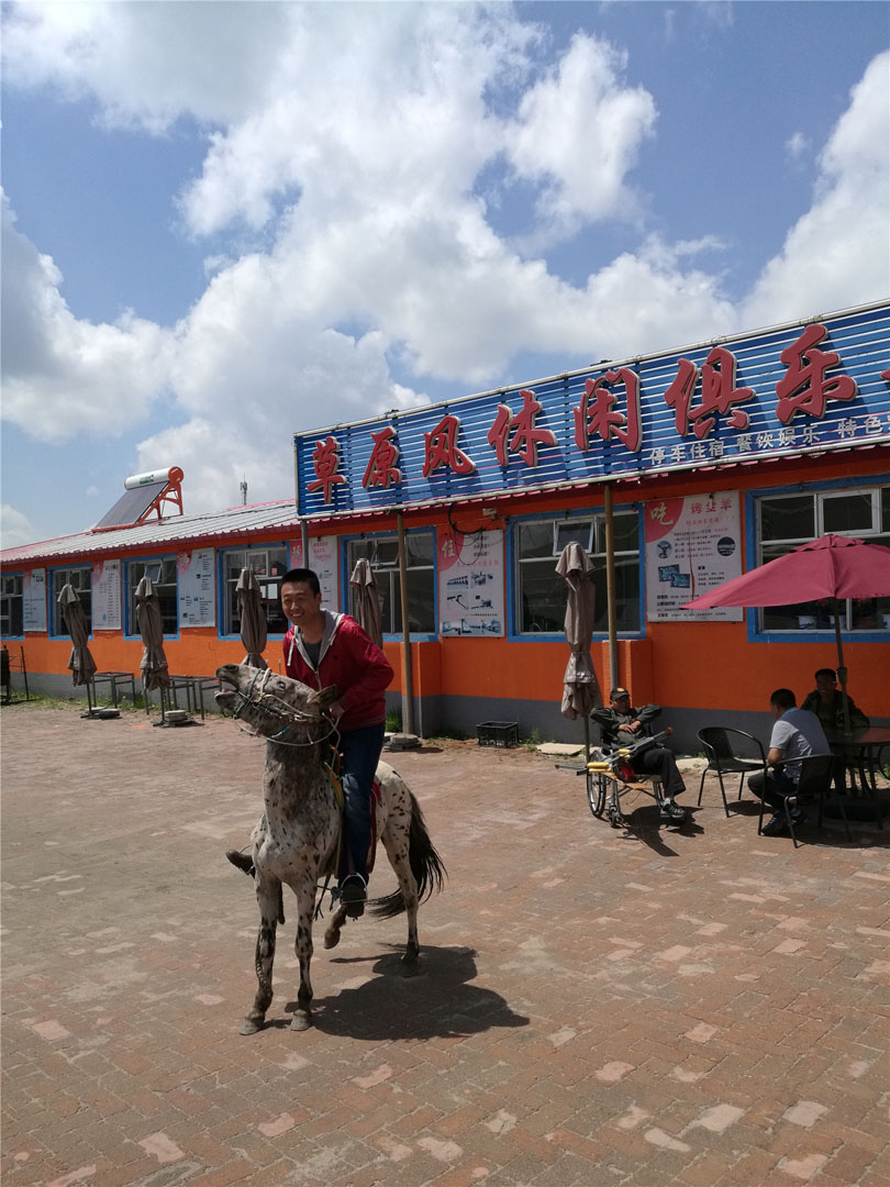壩上小矮馬