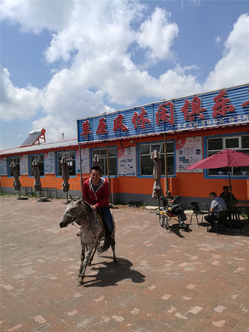 壩上小矮馬