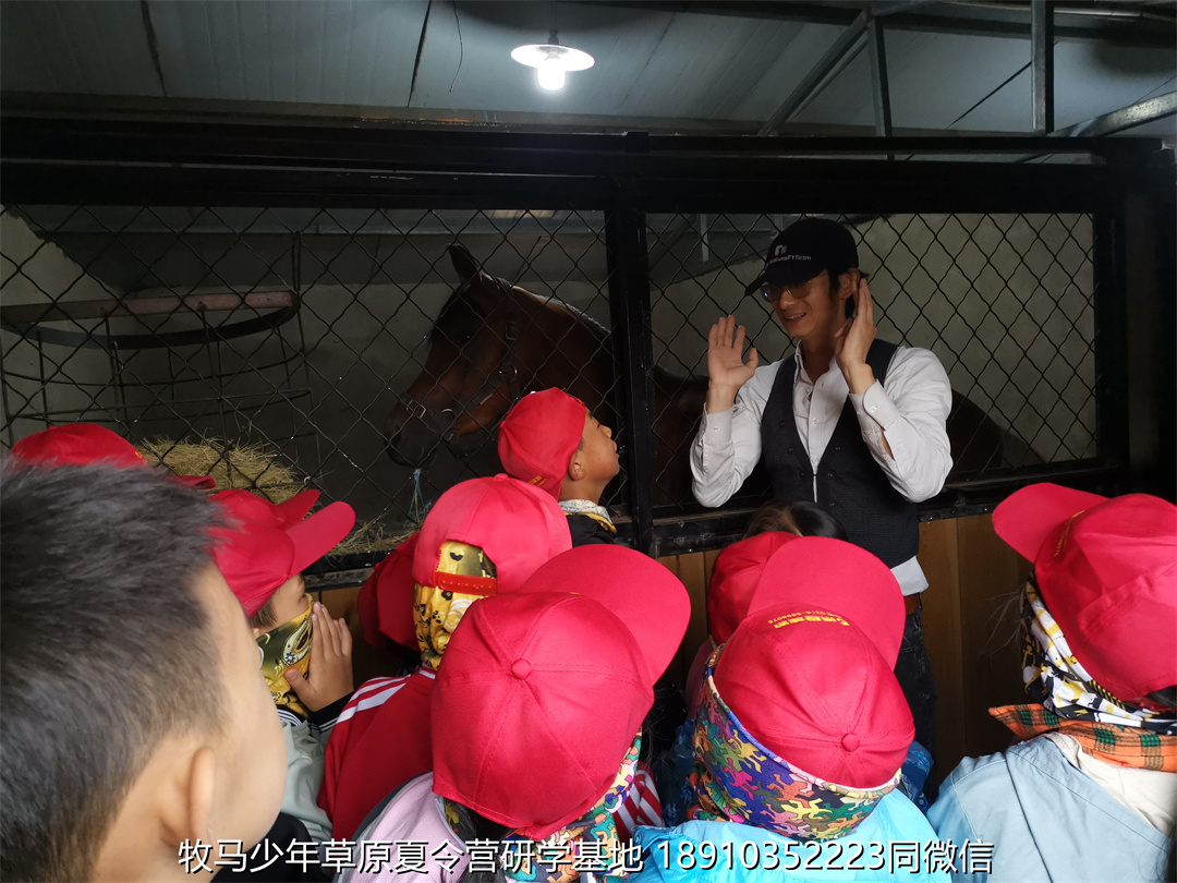 愛特教育壩上草原軍事研學(xué)夏令營