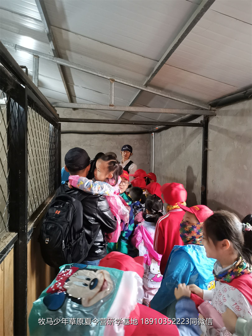 愛特教育壩上草原軍事研學(xué)夏令營