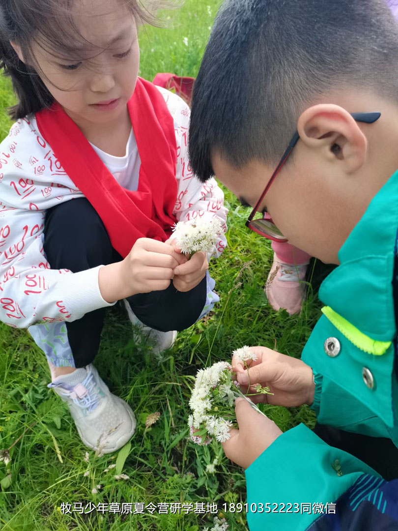 愛特教育壩上草原軍事研學(xué)夏令營