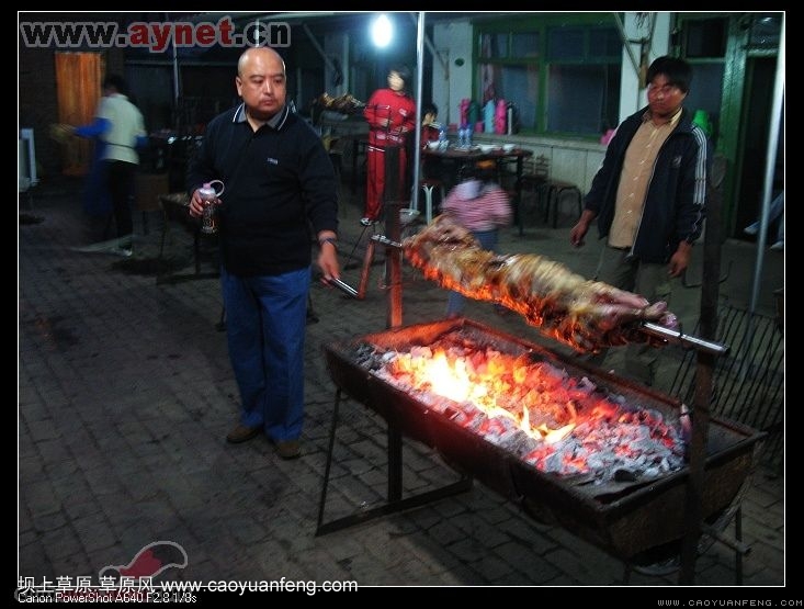 搜狐安陽(yáng)車(chē)友會(huì)7月豐寧壩上草原行