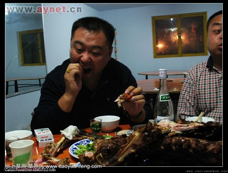 搜狐安陽(yáng)車(chē)友會(huì)7月豐寧壩上草原行