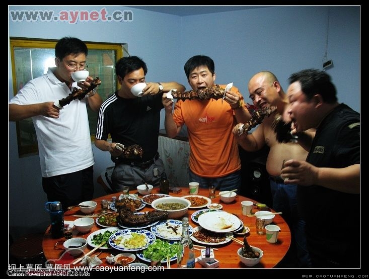 搜狐安陽(yáng)車(chē)友會(huì)7月豐寧壩上草原行