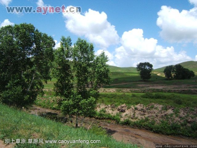 搜狐安陽(yáng)車(chē)友會(huì)7月豐寧壩上草原行
