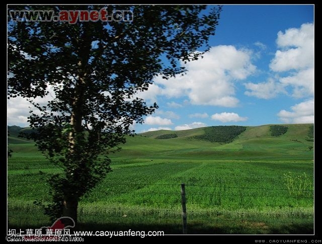 搜狐安陽(yáng)車(chē)友會(huì)7月豐寧壩上草原行