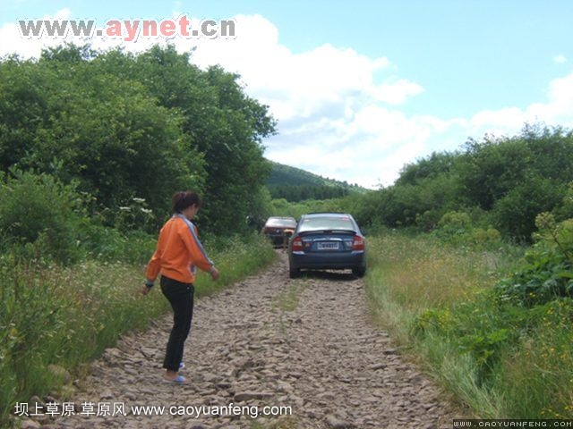 搜狐安陽(yáng)車(chē)友會(huì)7月豐寧壩上草原行
