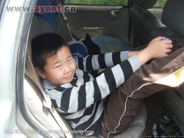 搜狐安陽(yáng)車(chē)友會(huì)7月豐寧壩上草原行