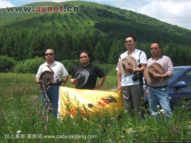 搜狐安陽(yáng)車(chē)友會(huì)7月豐寧壩上草原行