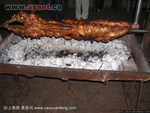 搜狐安陽(yáng)車(chē)友會(huì)7月豐寧壩上草原行