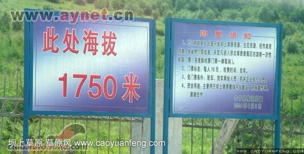搜狐安陽(yáng)車(chē)友會(huì)7月豐寧壩上草原行