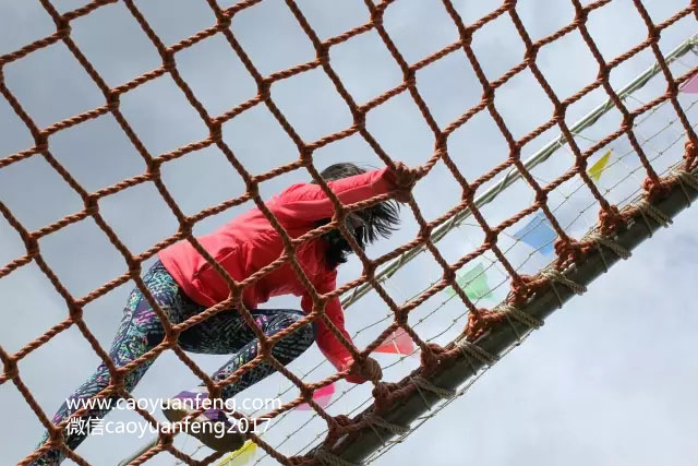新東方百學匯第一期壩上草原夏令營