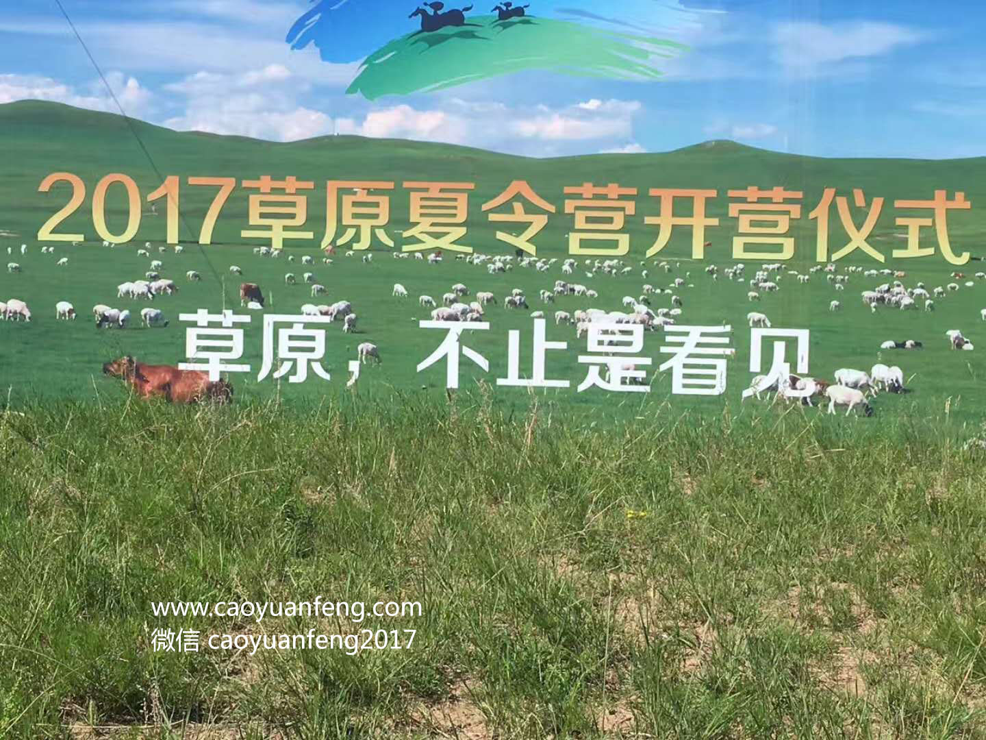 蓓蕾舞蹈草原夏令營(yíng)