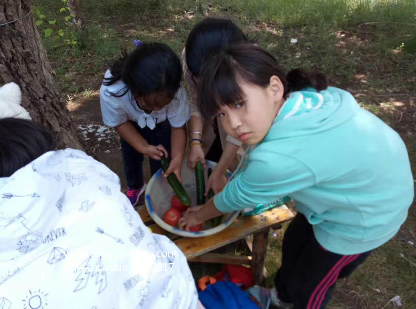 伯文教育五天四晚草原夏令營