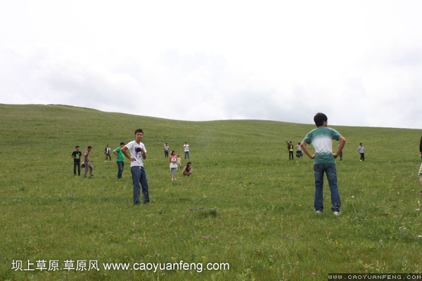 長城汽車豐寧壩上旅游