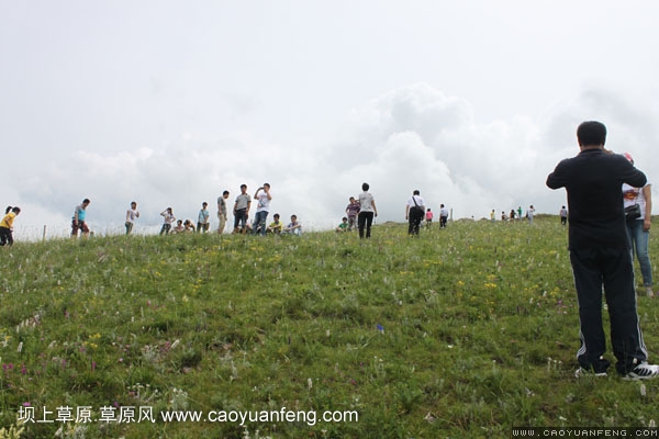 長城汽車豐寧壩上旅游