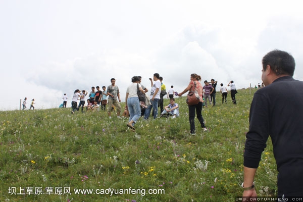 長城汽車豐寧壩上旅游