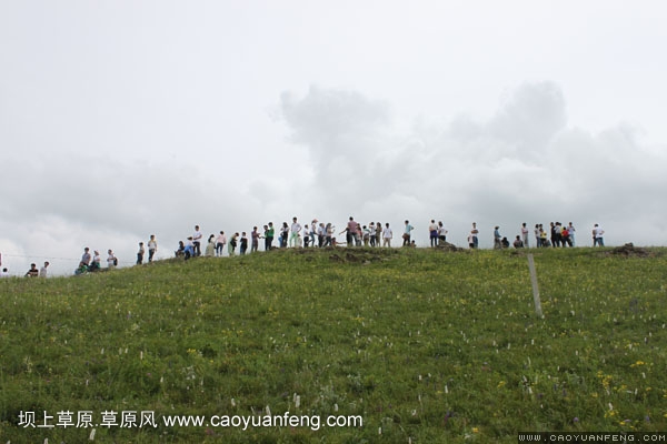 長城汽車豐寧壩上旅游