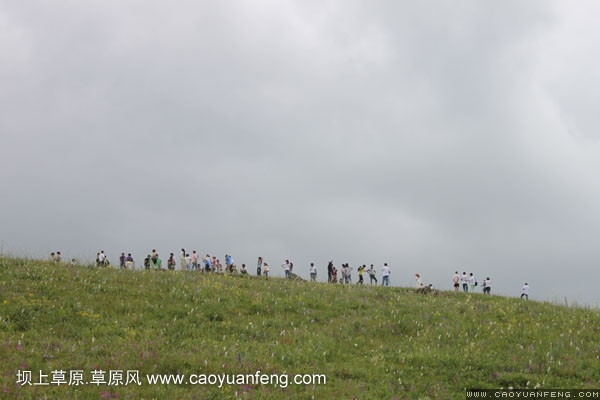 長城汽車豐寧壩上旅游