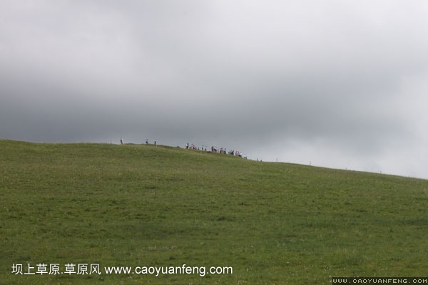 長城汽車豐寧壩上旅游