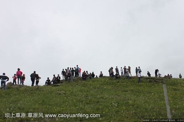 長城汽車豐寧壩上旅游