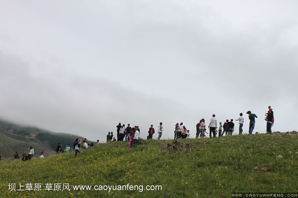長城汽車豐寧壩上旅游