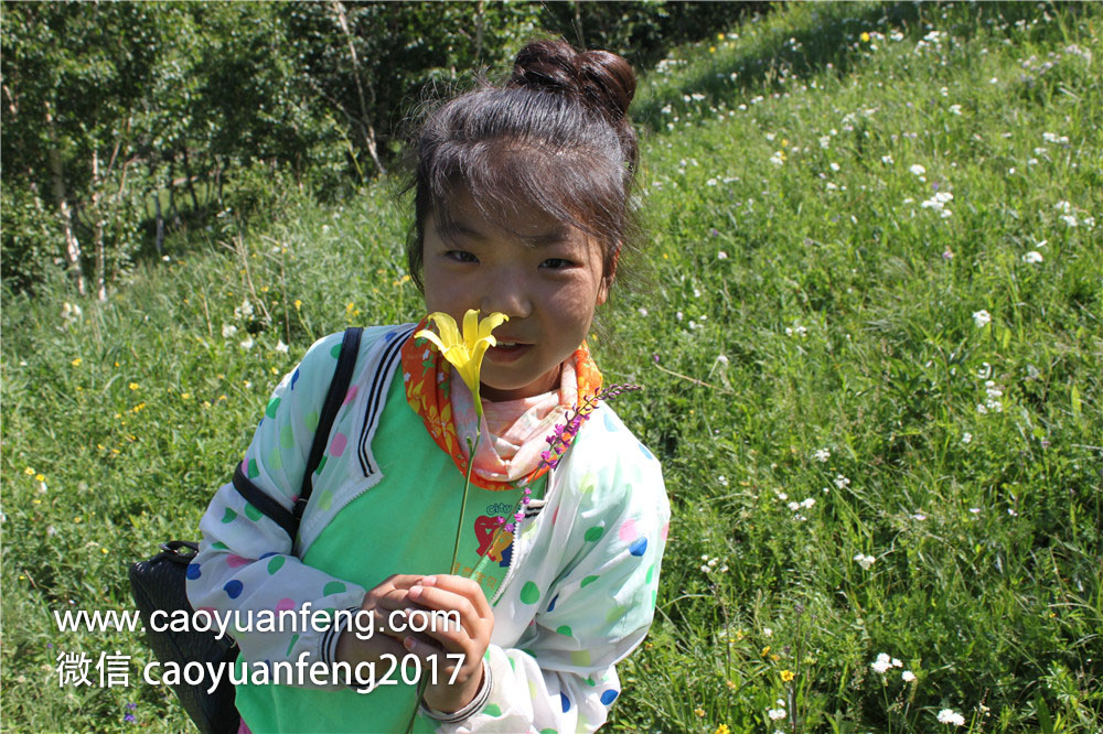鄭州城市寶貝精英少年 草原夏令營