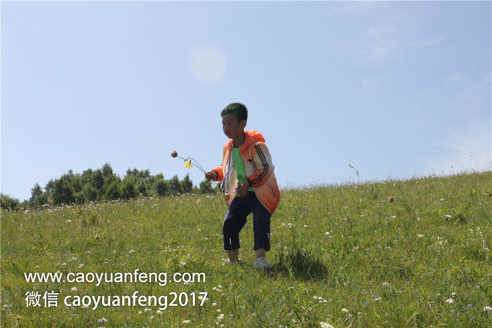鄭州城市寶貝精英少年 草原夏令營