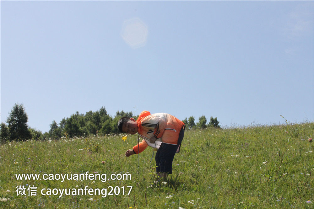 鄭州城市寶貝精英少年 草原夏令營