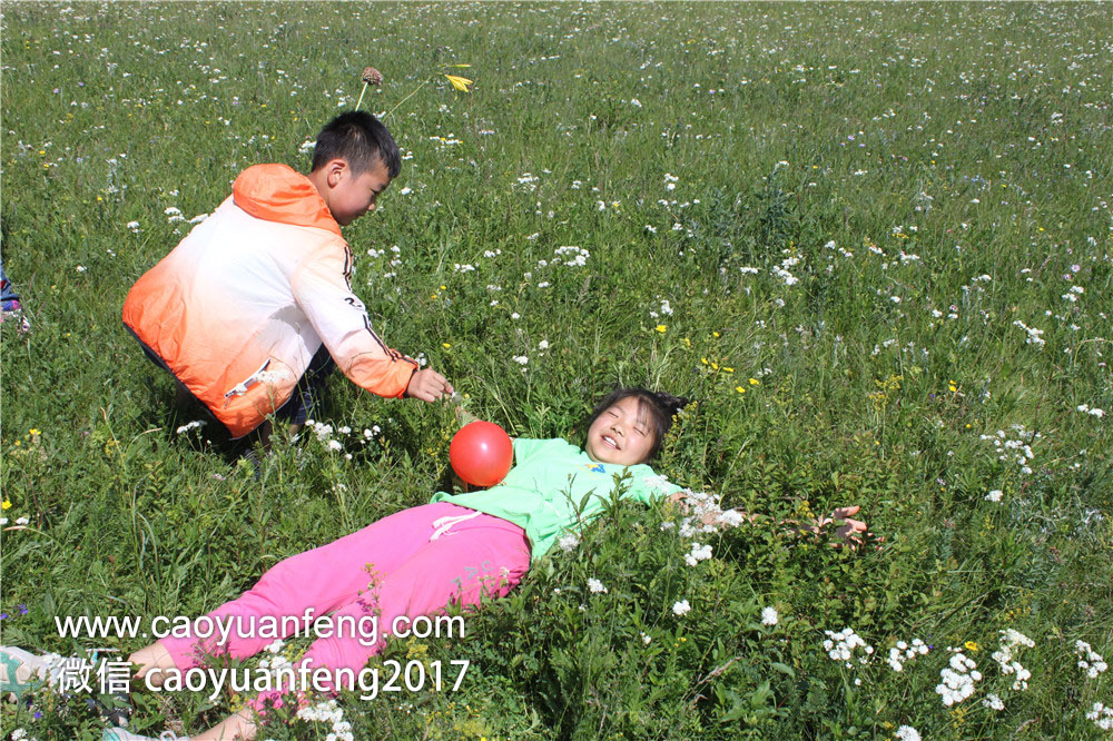 鄭州城市寶貝精英少年 草原夏令營
