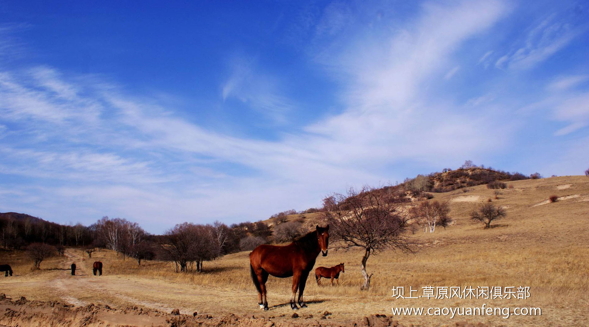 壩上風(fēng)光美景之春季攝影 壩上風(fēng)光美景之春季攝影