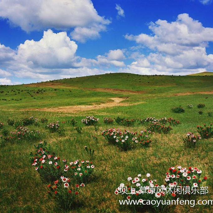 壩上風(fēng)光美景之春季攝影 壩上風(fēng)光美景之春季攝影